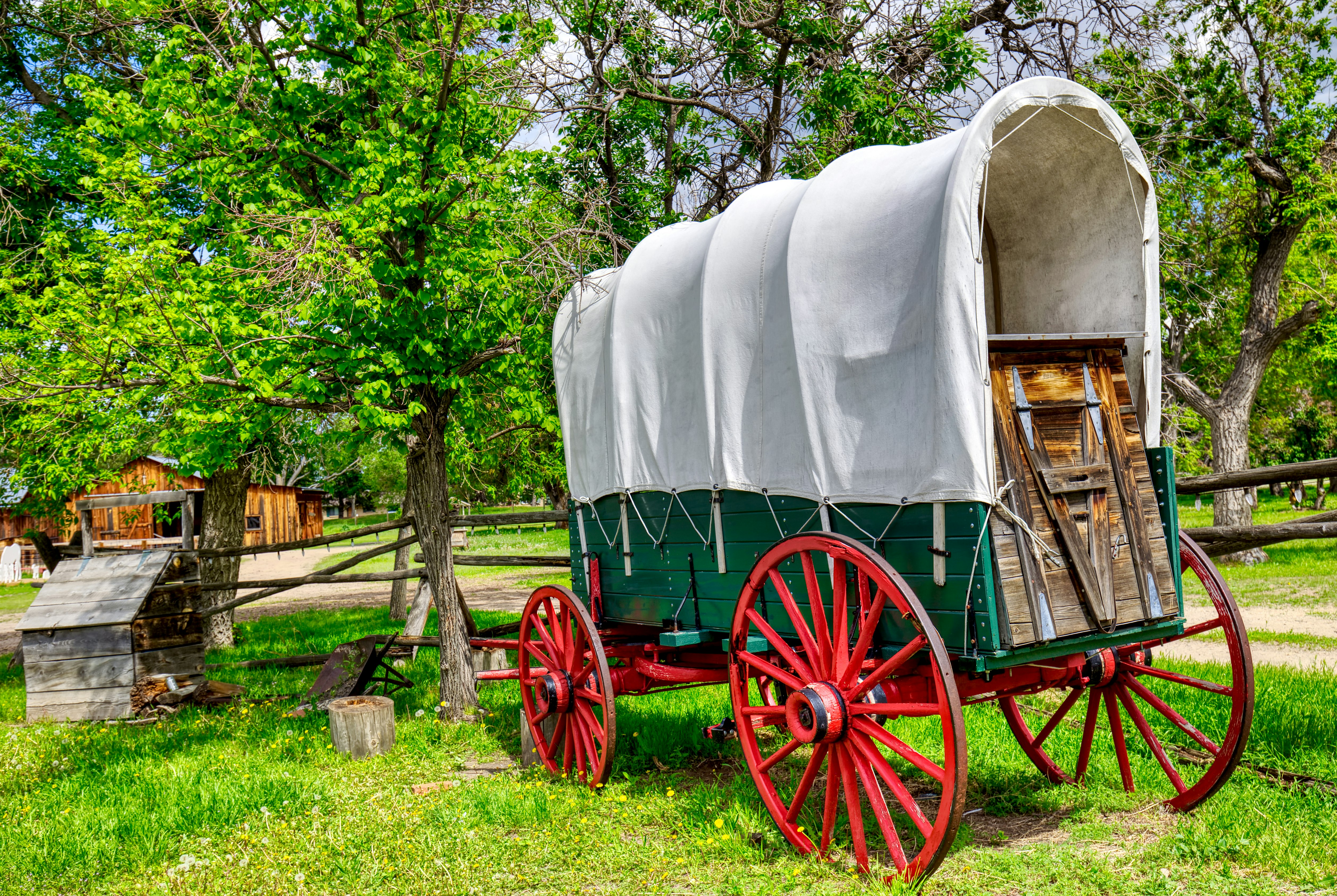 green and brown wooden carriage on green grass field during daytime